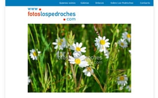 Web Fotos Los Pedroches: Web Galer�a