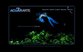 Web AcuarArte: Web a Medida