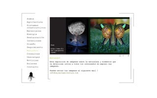 Raizart agritectura: Web a Medida