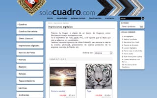 Solo Cuadro: Web Tienda Online