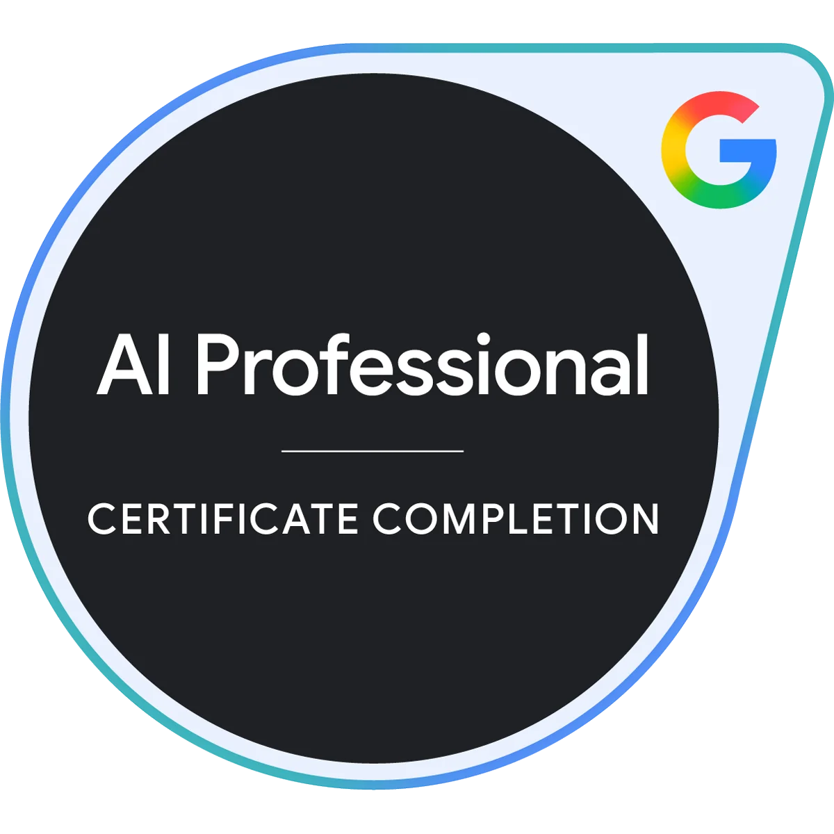 Insignia Google AI Professional Certificate