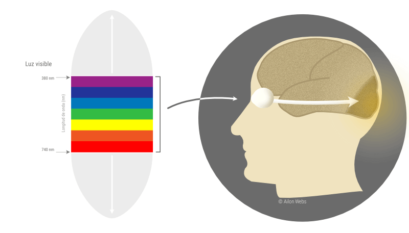 ¿Cómo percibimos los colores? Y como influencia el diseño web
