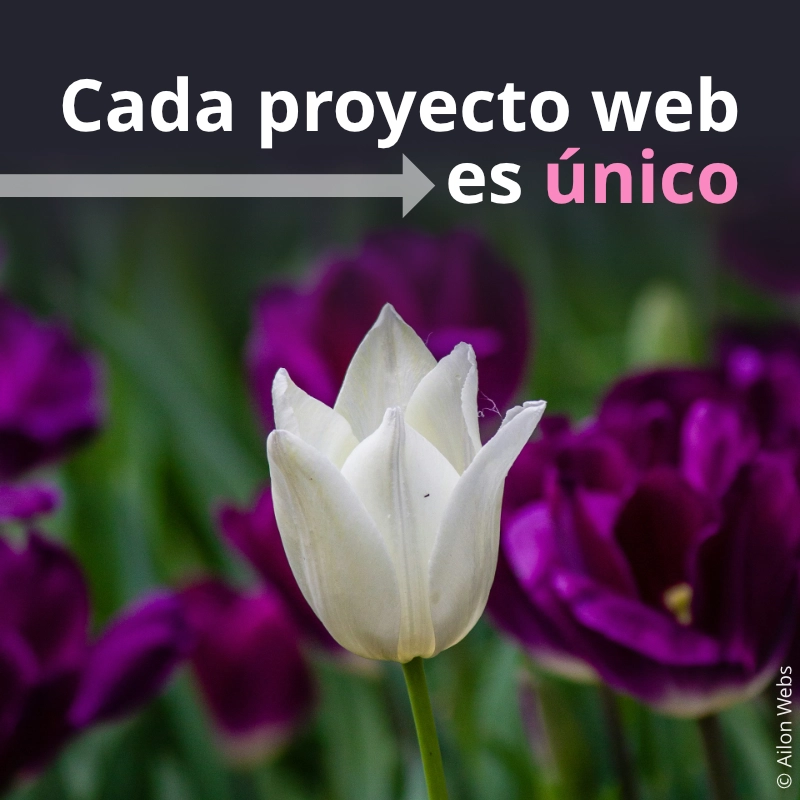 Diseño de páginas web a medida